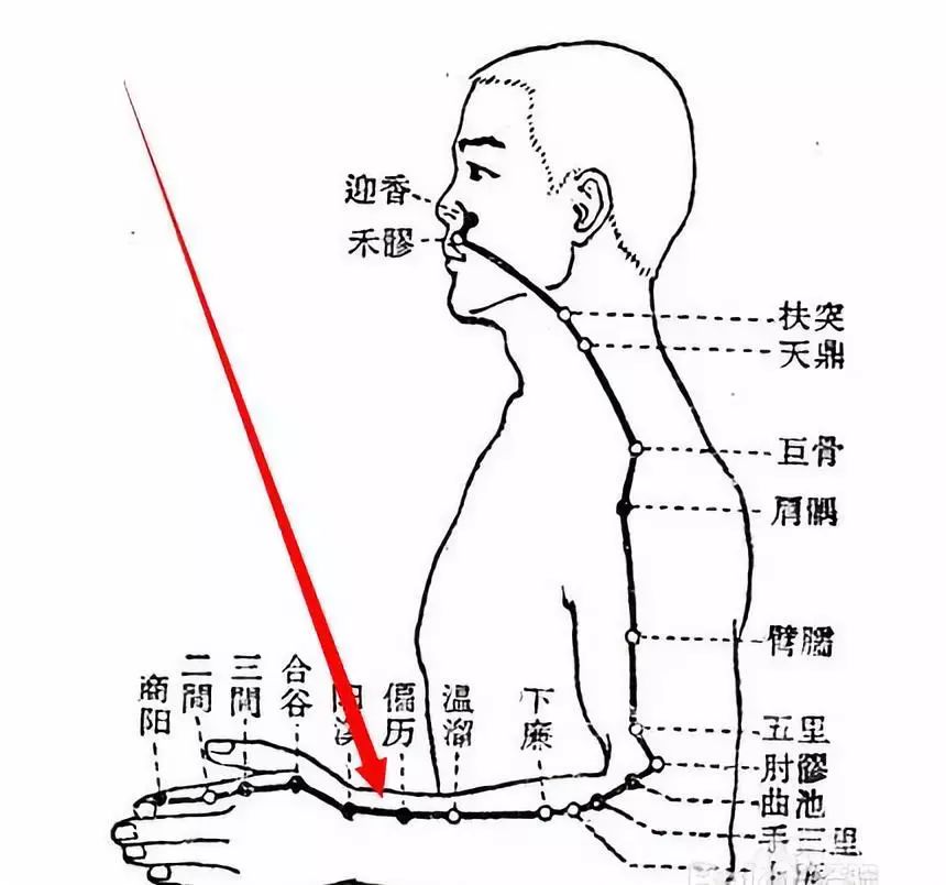 开云体育网页版入口-包含九军队行所止偏初起建鼻之人径的词条